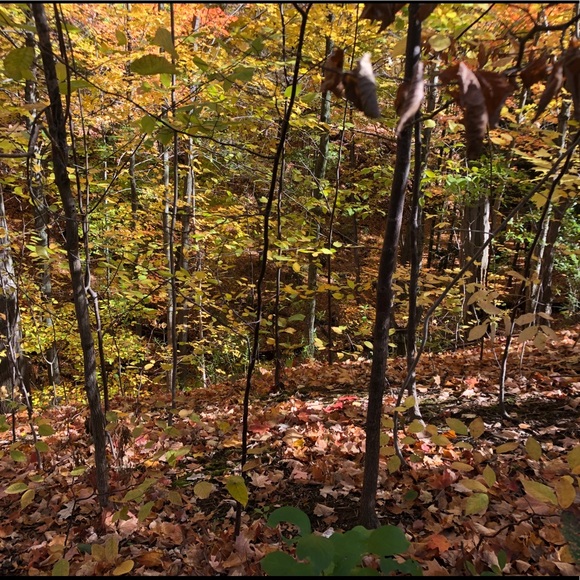 Meet your Posher, Tim - Picture 1 of 1